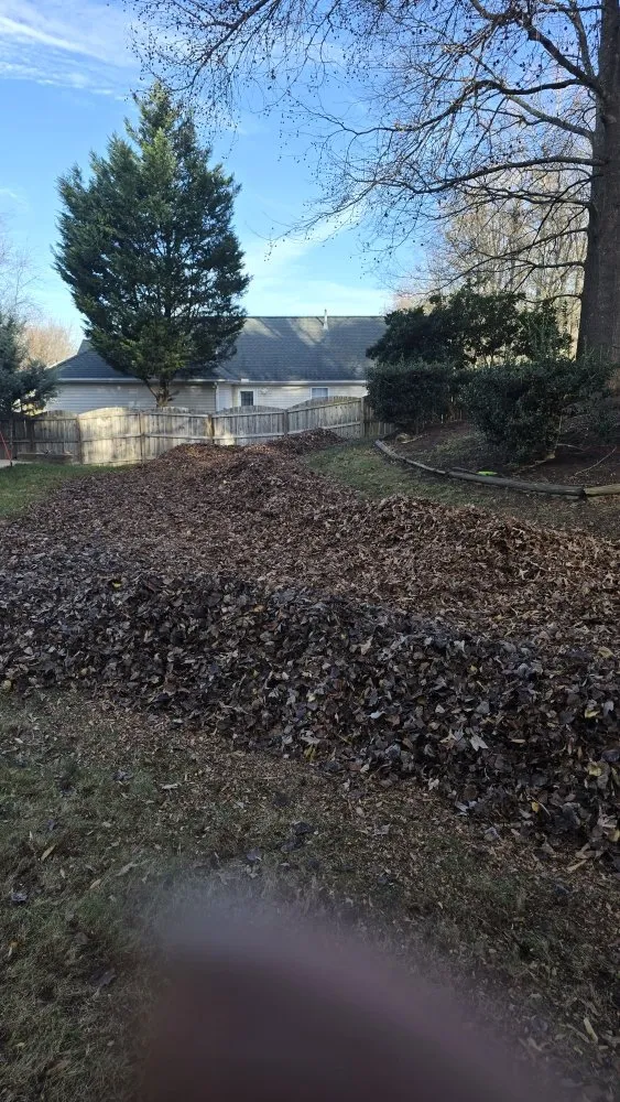 Trusted outdoor landscaping for outdoor upgrades in Monroe, NC by All Season Lawn Care