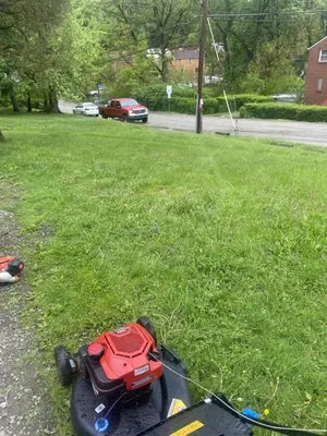 All Season Lawn Care