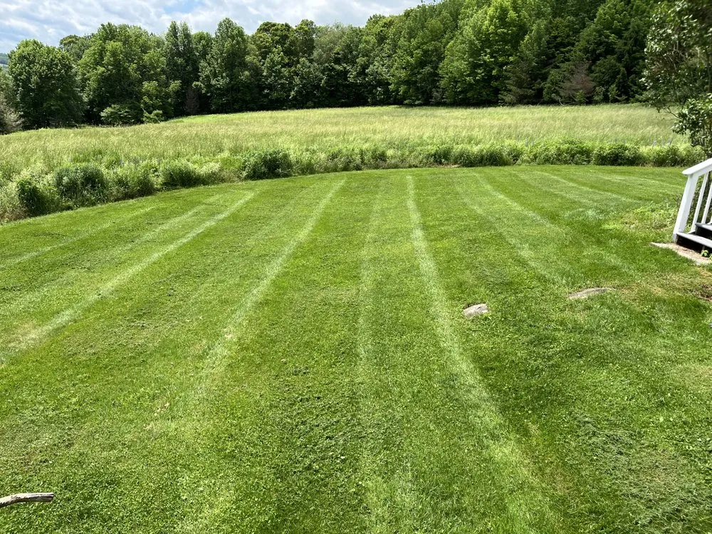 Top-rated residential landscaping for beautiful yards across Bloomville, NY - All Season Lawncare