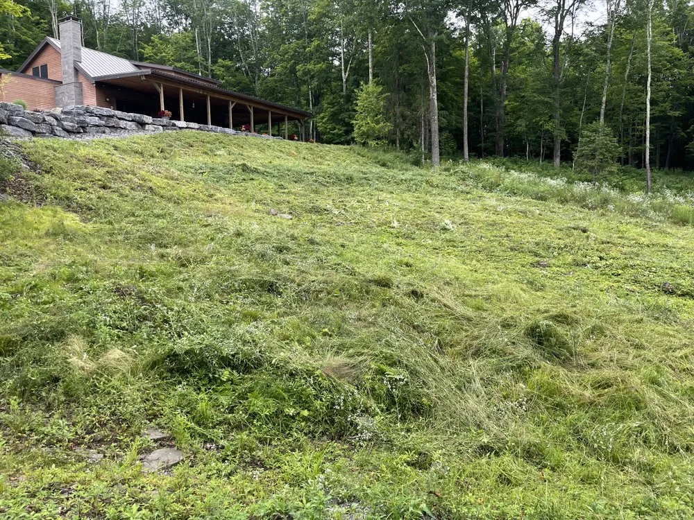 Expert yard cleanup service experts serving Bloomville, NY - All Season Lawncare