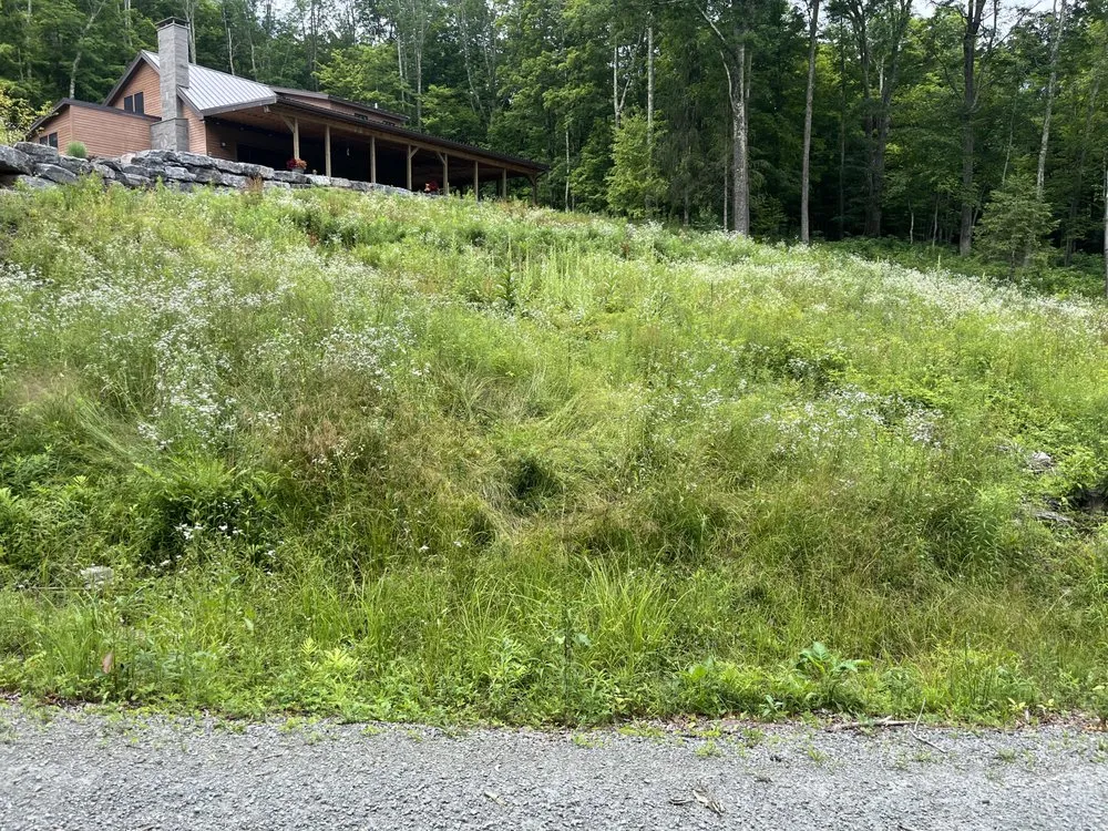 Professional lawn care service in Bloomville, NY - All Season Lawncare