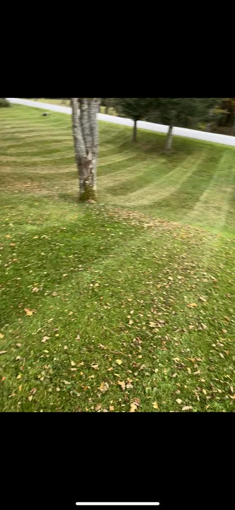 Reliable landscape installation experts serving Bloomville, NY - All Season Lawncare