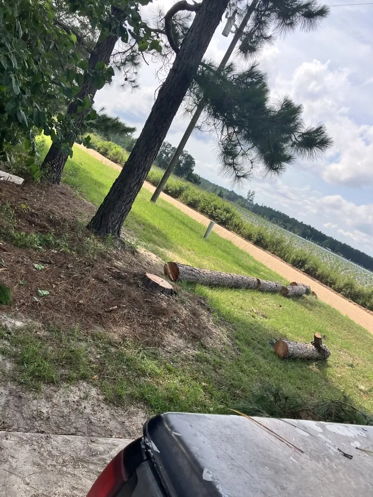 Reliable residential landscaping for beautiful yards across Toomsboro, GA - All Season Lawncare