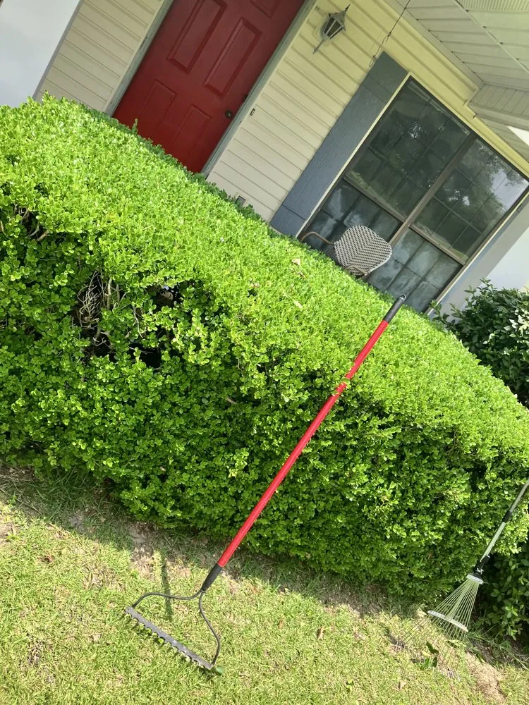 Local lawn care service in Toomsboro, GA by All Season Lawncare