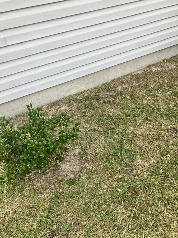 Affordable yard maintenance for outdoor upgrades in Toomsboro, GA by All Season Lawncare