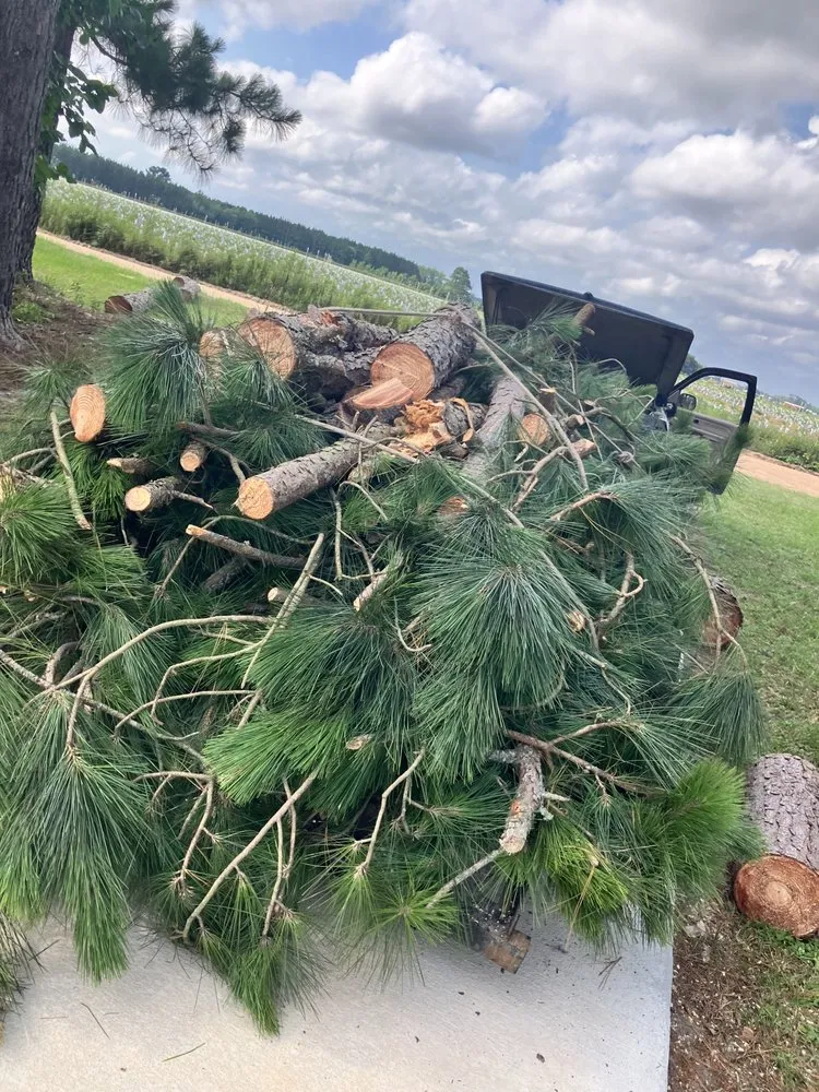 Trusted yard maintenance in Toomsboro, GA - All Season Lawncare