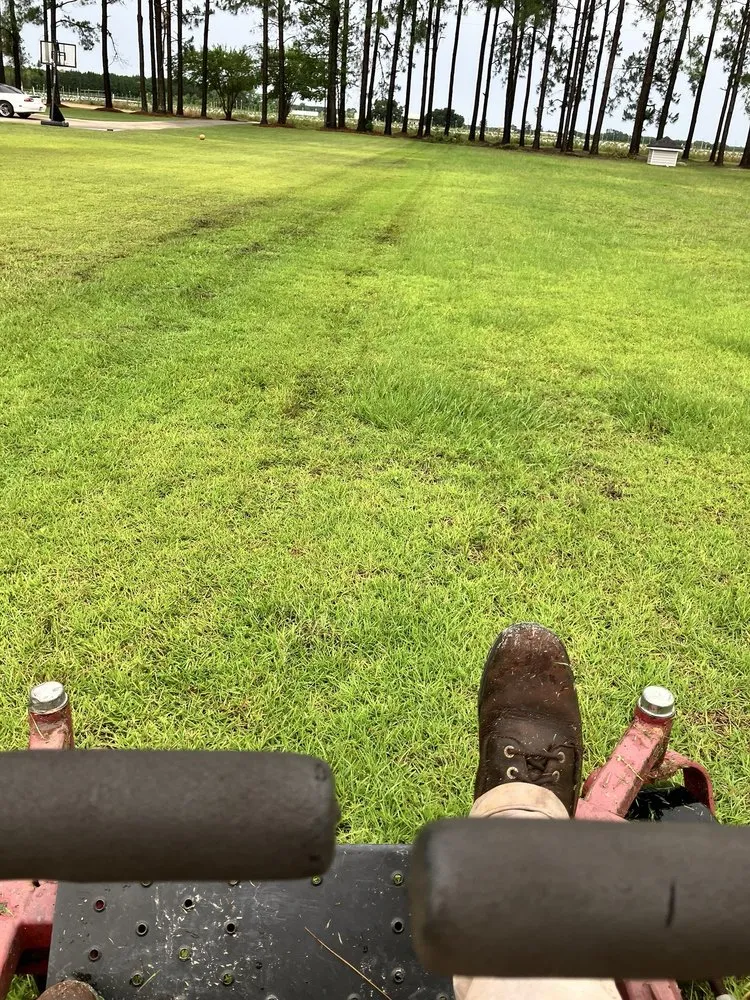 Trusted landscape design for year-round maintenance across Toomsboro, GA - All Season Lawncare