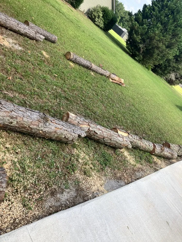 Professional garden landscaping experts serving Toomsboro, GA - All Season Lawncare