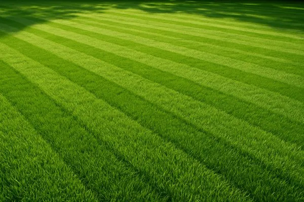 All Season Service Logo