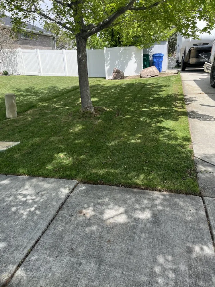 Custom yard cleanup service for beautiful yards across Riverton, UT - All Season Services