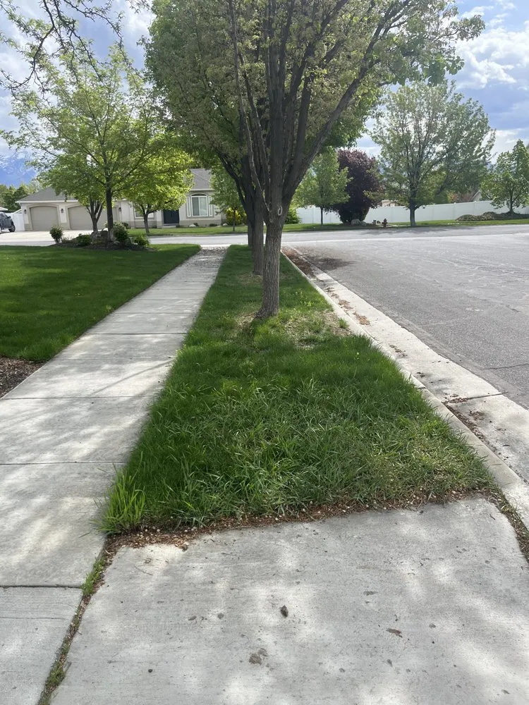 Custom landscape design experts serving Riverton, UT - All Season Services