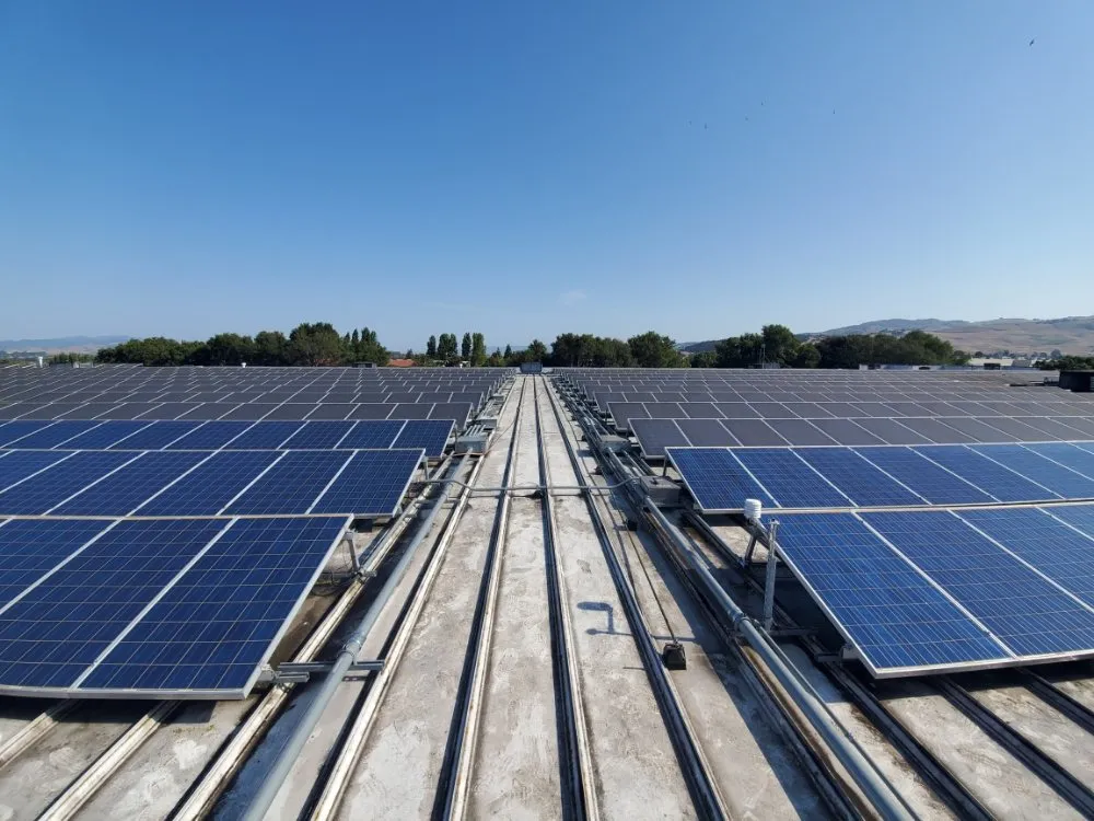 Trusted landscaping services near you in Fairfield, CA by All Season Solar Cleaning & Maintenance