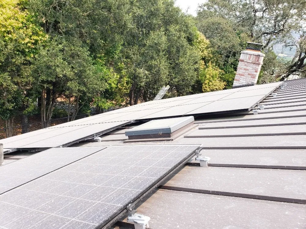 Custom yard cleanup service in Fairfield, CA by All Season Solar Cleaning & Maintenance