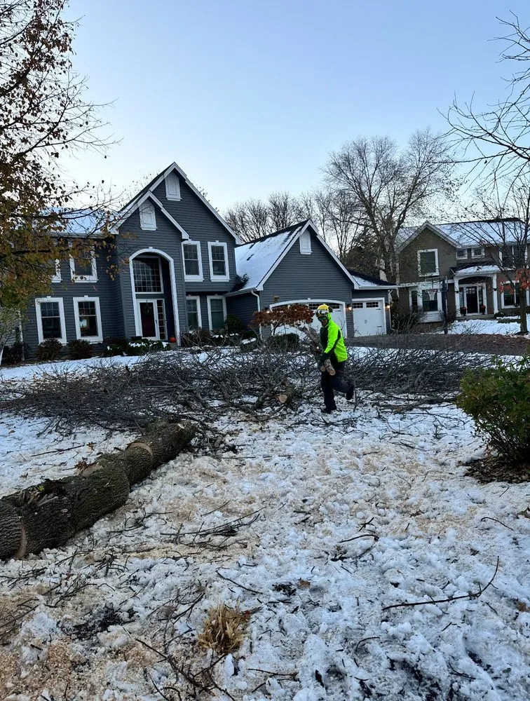 Professional landscaping services for homes across Minnetonka, MN - All Season Solutions