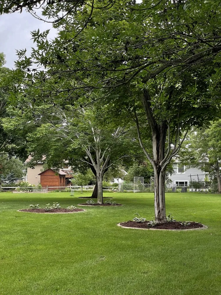 Affordable lawn mowing service for residential properties in Minnetonka, MN by All Season Solutions