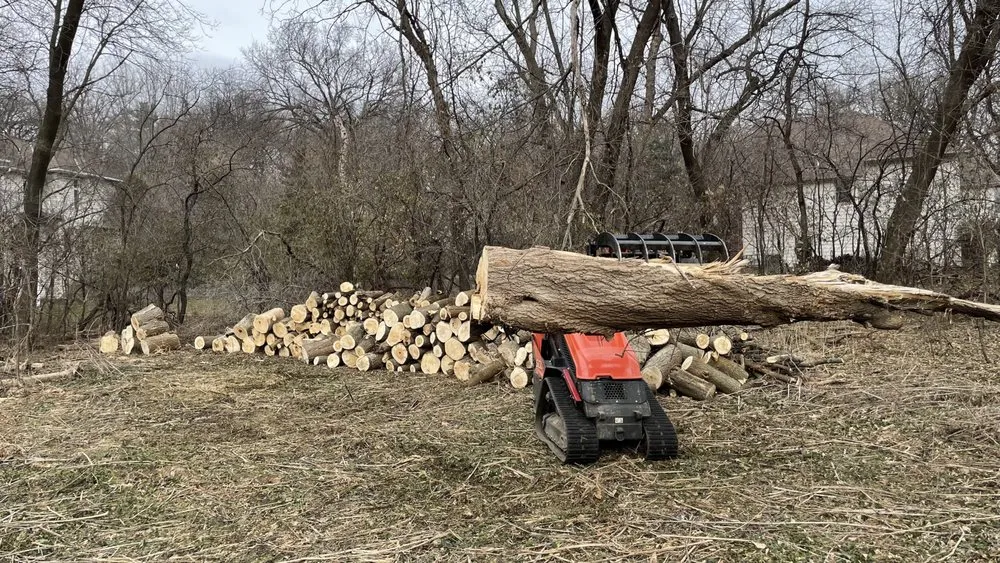 Reliable yard cleanup service experts serving Minnetonka, MN - All Season Solutions