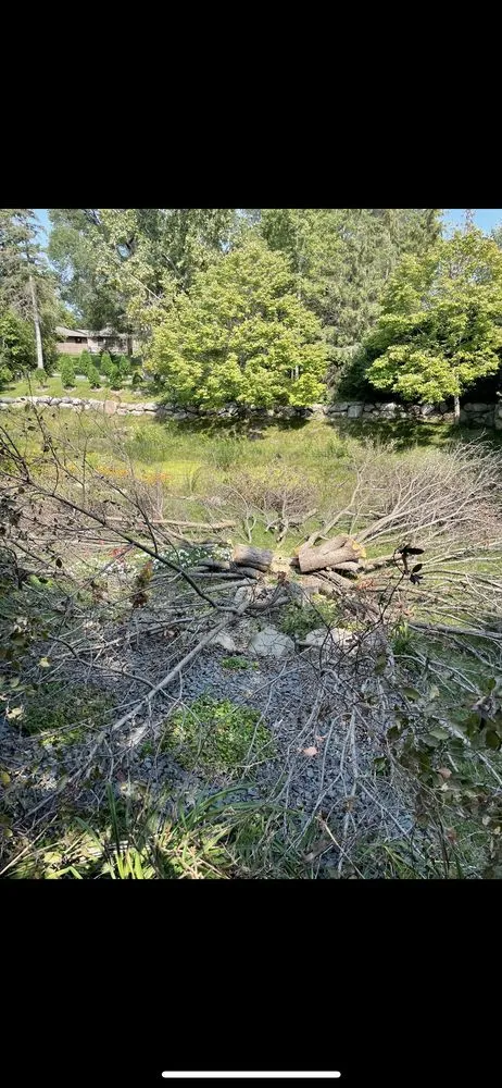 Custom landscape installation near you across Minnetonka, MN - All Season Solutions