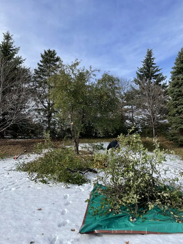 Affordable landscape installation in Minnetonka, MN by All Season Solutions