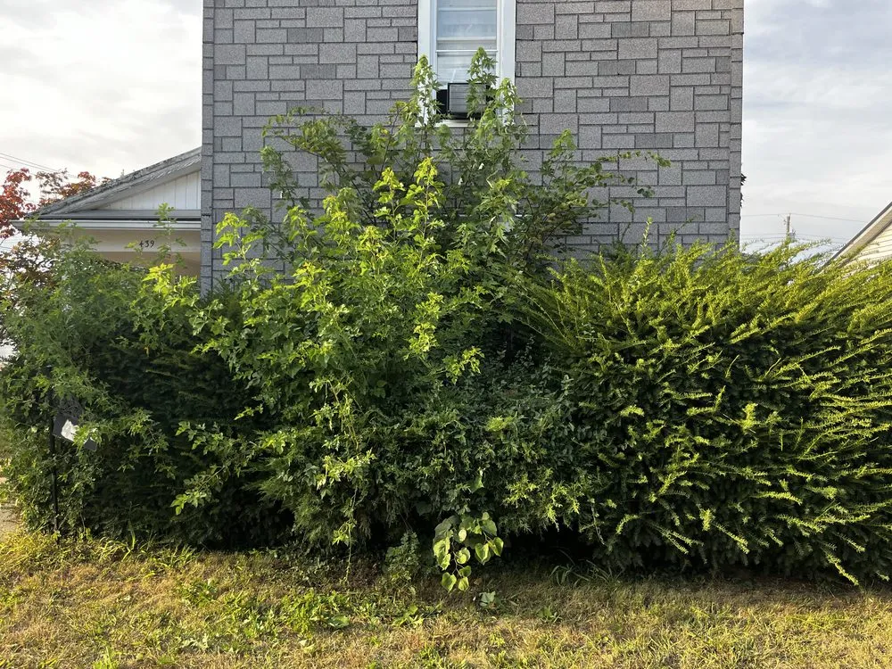 Reliable landscape design in Winchester, IN - All Season Solutions