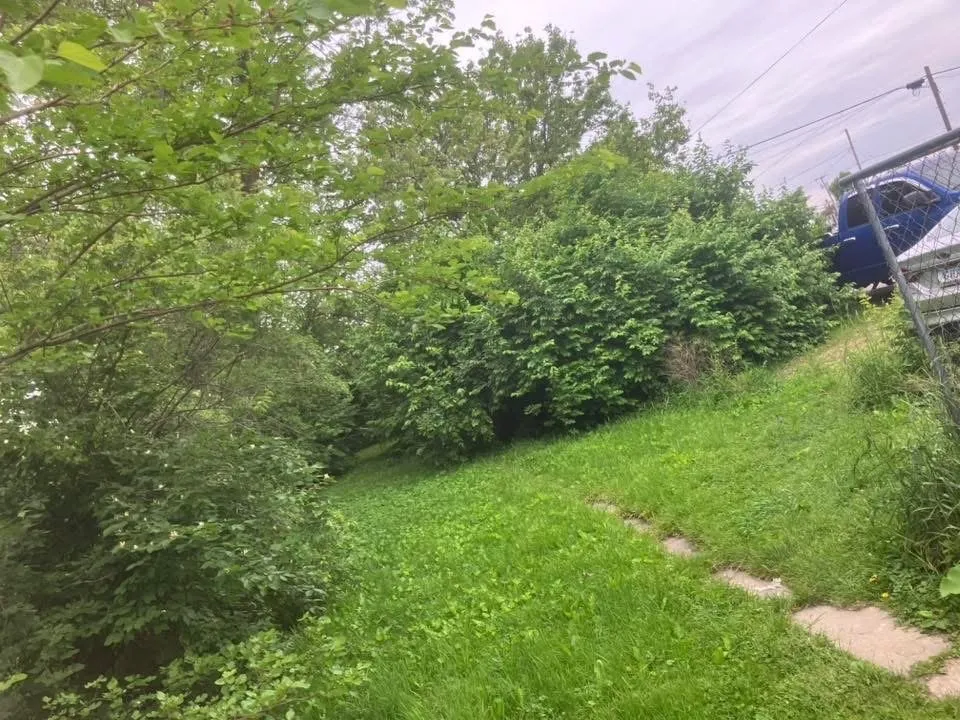 Expert residential landscaping for beautiful yards in Winchester, IN by All Season Solutions