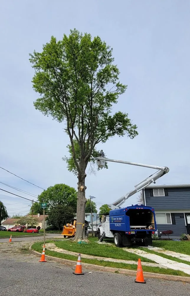 Expert landscaping services experts serving Cleveland, OH - All Season Tree Service