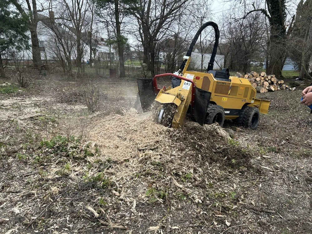 Top-rated residential landscaping in Cleveland, OH - All Season Tree Service