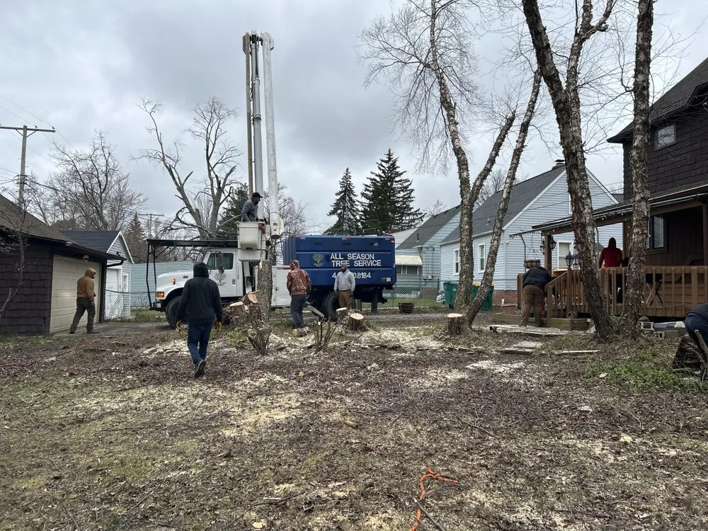 Reliable lawn care service near you across Cleveland, OH - All Season Tree Service