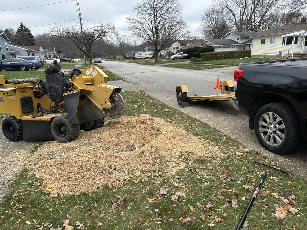 Top-rated landscape design in Cleveland, OH - All Season Tree Service