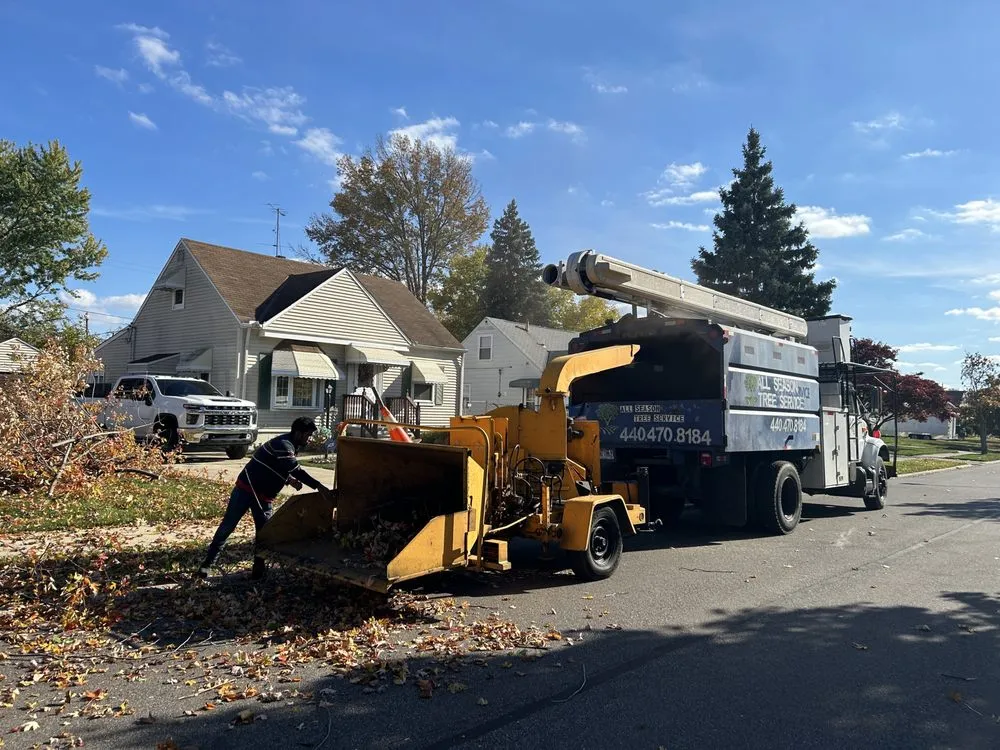 Expert yard maintenance in Cleveland, OH - All Season Tree Service