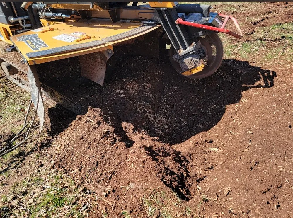 Custom yard cleanup service with custom design in Cleveland, OH by All Season Tree Service