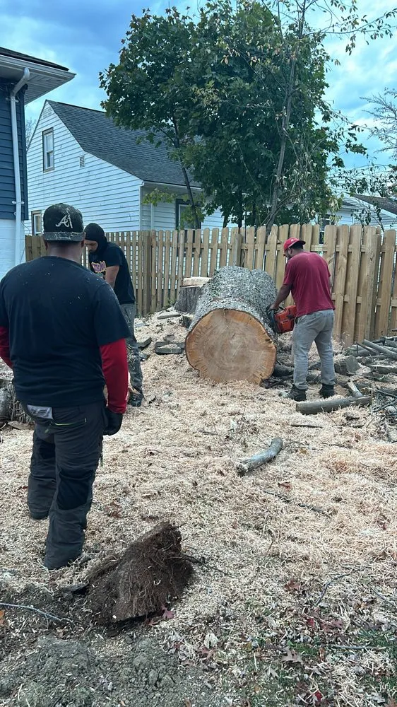 Top-rated yard maintenance for outdoor upgrades across Cleveland, OH - All Season Tree Service