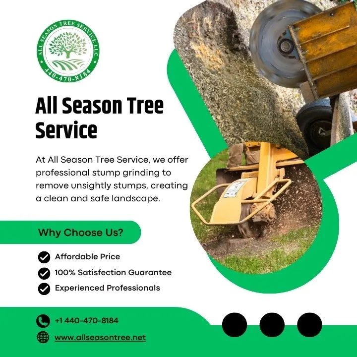 Custom lawn mowing service in Cleveland, OH by All Season Tree Service