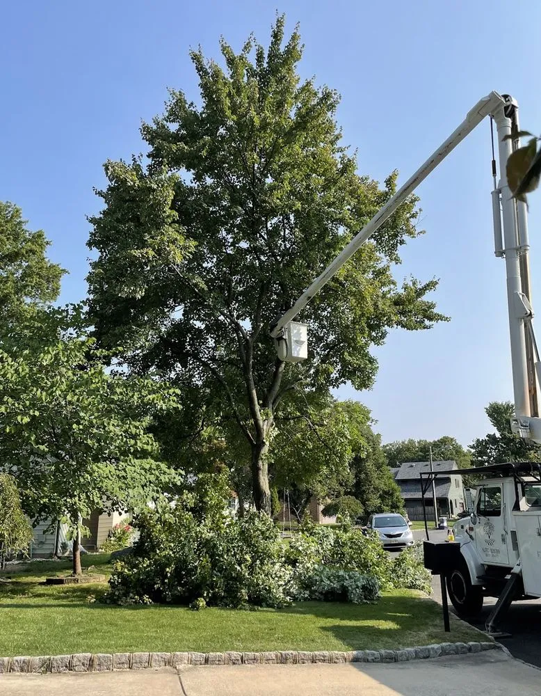 Custom yard maintenance for homes in Cleveland, OH by All Season Tree Service