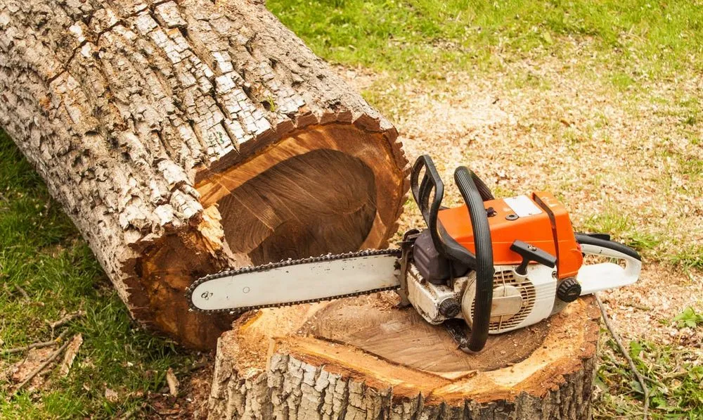 Top-rated lawn mowing service in Cleveland, OH by All Season Tree Service