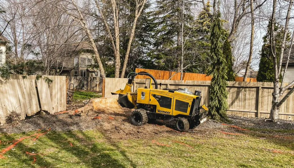 Professional landscape design for year-round maintenance across Cleveland, OH - All Season Tree Service
