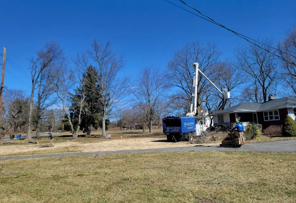 Trusted garden landscaping near you across Cleveland, OH - All Season Tree Service