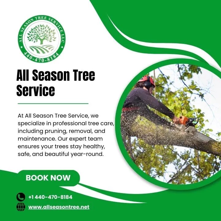 Professional landscape design experts serving Cleveland, OH - All Season Tree Service