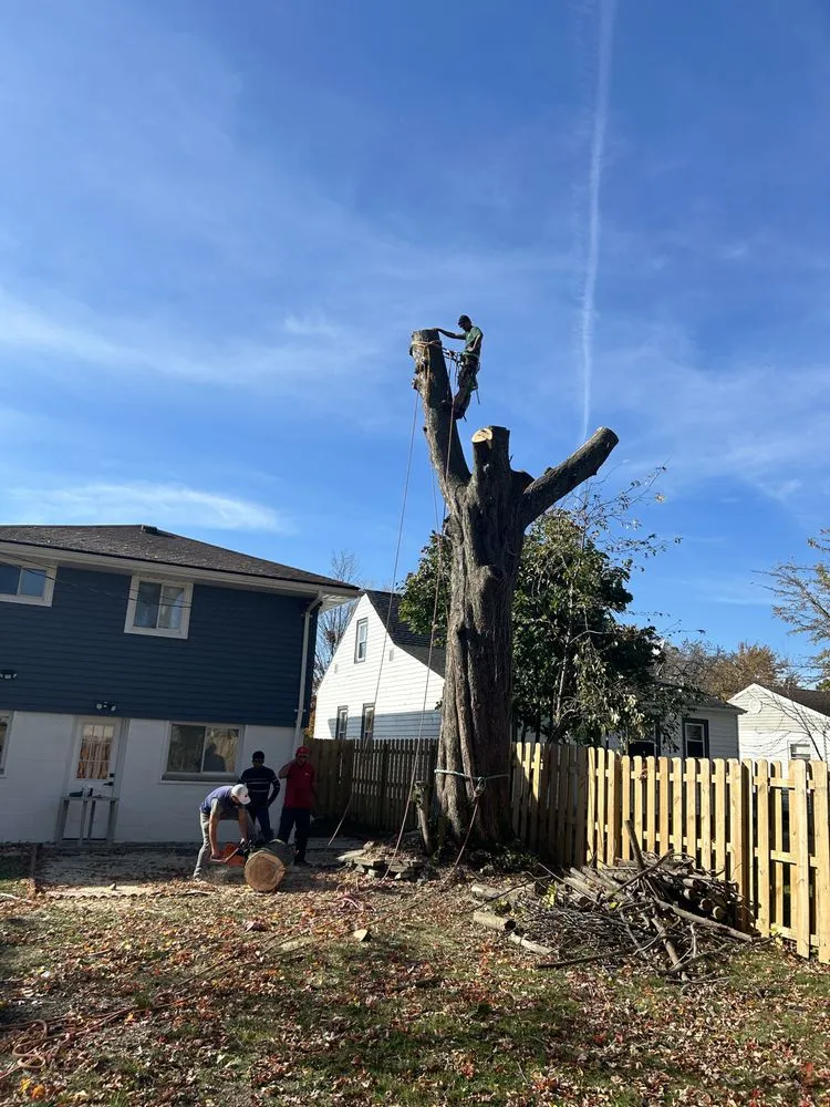 Custom lawn mowing service experts serving Cleveland, OH - All Season Tree Service