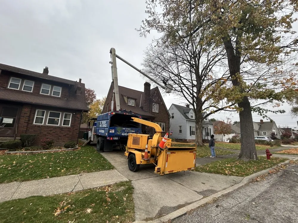 Top-rated outdoor landscaping in Cleveland, OH - All Season Tree Service