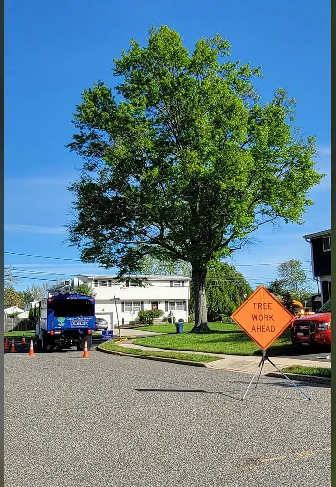 Reliable lawn mowing service for year-round maintenance across Cleveland, OH - All Season Tree Service