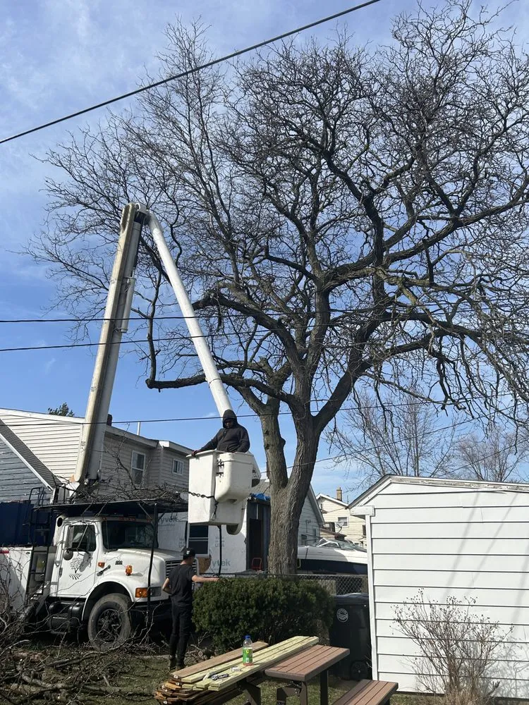 Affordable landscape installation in Cleveland, OH by All Season Tree Service