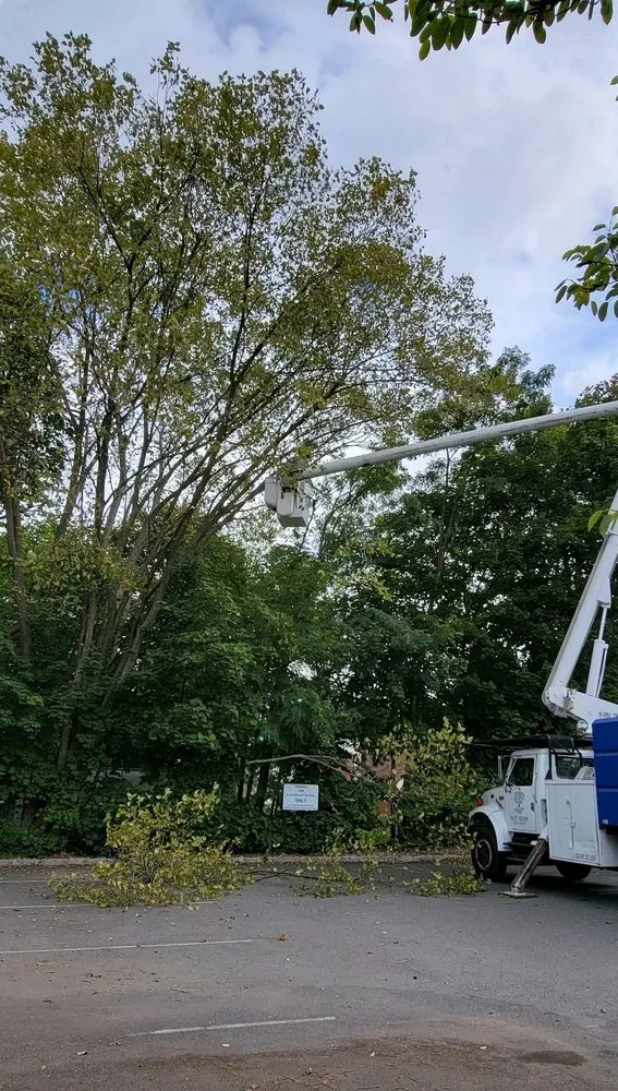 Affordable landscape design in Cleveland, OH - All Season Tree Service