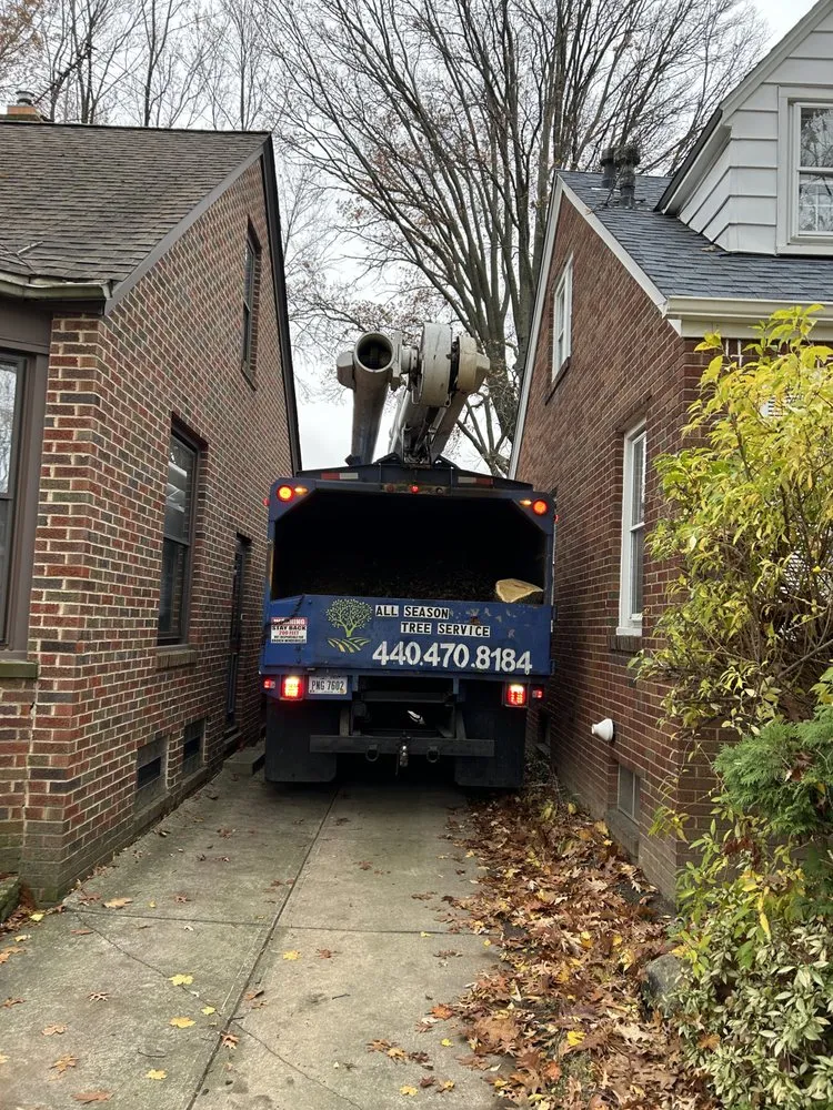 Top-rated lawn mowing service experts serving Cleveland, OH - All Season Tree Service