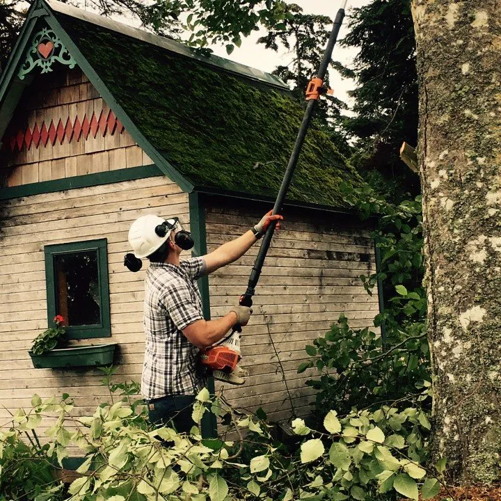 Trusted garden landscaping for homes across Port Hadlock-Irondale, WA - All Season Tree Specialists