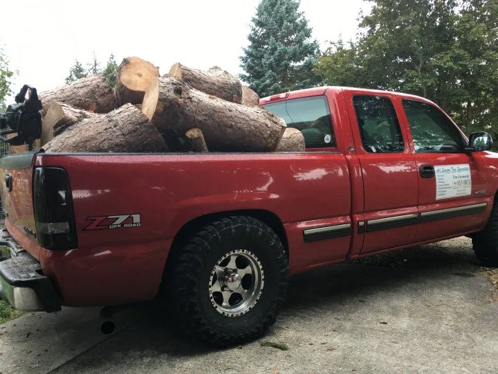Affordable yard cleanup service with custom design in Port Hadlock-Irondale, WA by All Season Tree Specialists