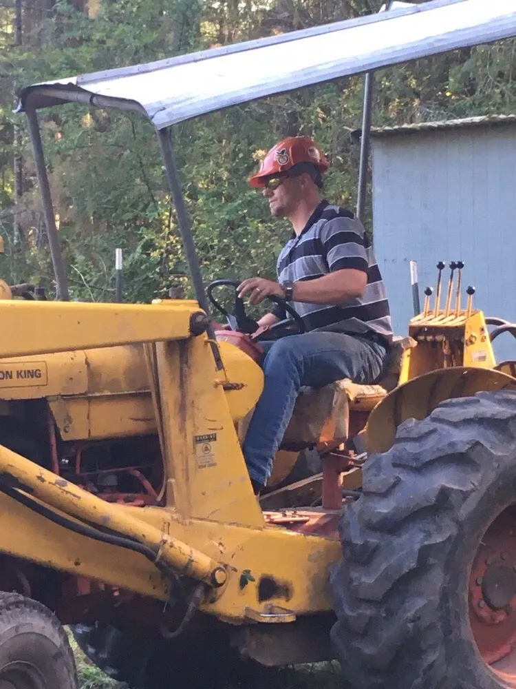 Reliable yard maintenance in Port Hadlock-Irondale, WA - All Season Tree Specialists