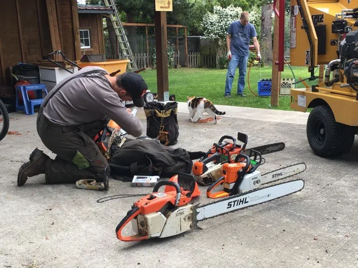 Trusted lawn mowing service experts serving Port Hadlock-Irondale, WA - All Season Tree Specialists