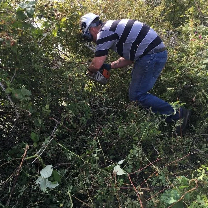 Local landscape design experts serving Port Hadlock-Irondale, WA - All Season Tree Specialists