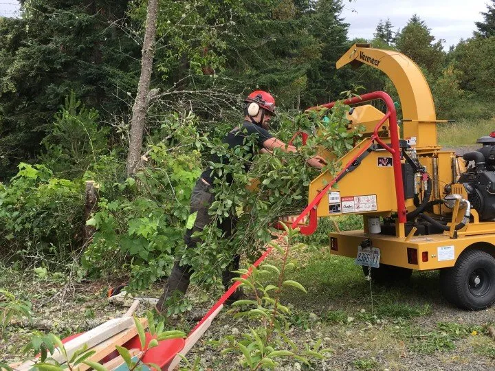 Top-rated landscaping services for beautiful yards across Port Hadlock-Irondale, WA - All Season Tree Specialists