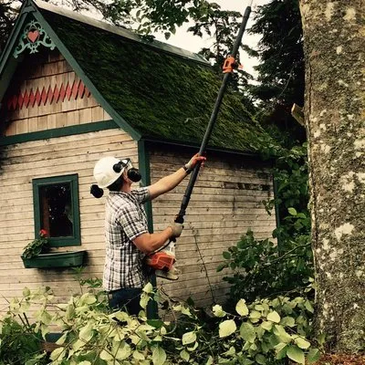 All Season Tree Specialists
